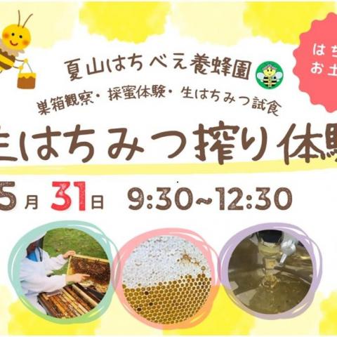 夏山はちべえ養蜂園　生はちみつ搾り体験＊おみやげ付き