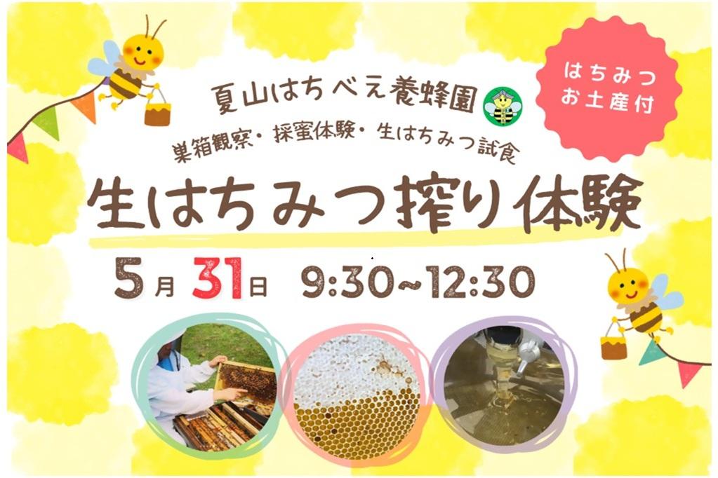 夏山はちべえ養蜂園　生はちみつ搾り体験＊おみやげ付き