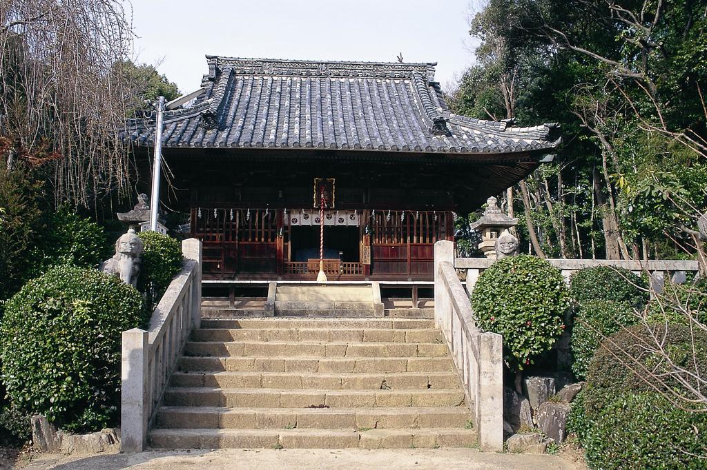 土呂八幡宮・土呂陣屋の松