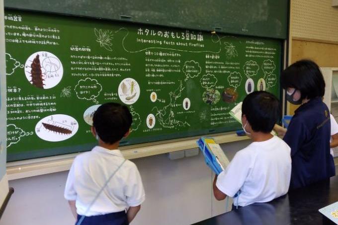 ホタル学校には、ホタルに関する展示や資料がたくさん！