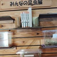 2026年7月「夏の虫を探そう」※抽選申込み終了、8月「みんなの昆虫展」／森の教室