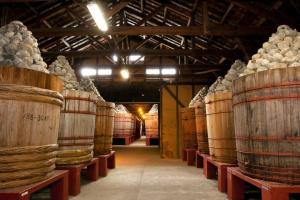 岡崎おでかけナビ 岡崎市観光協会公式サイト