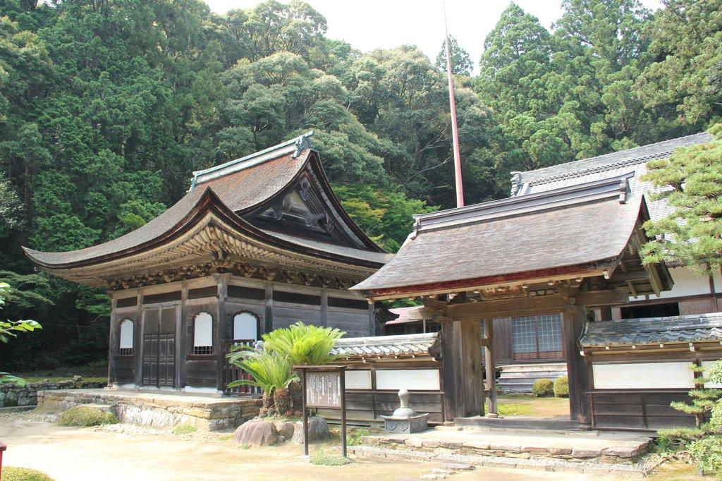 天恩寺・見返りの大杉