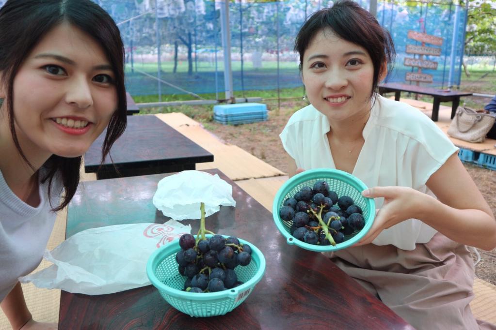 駒立ぶどう狩り街道