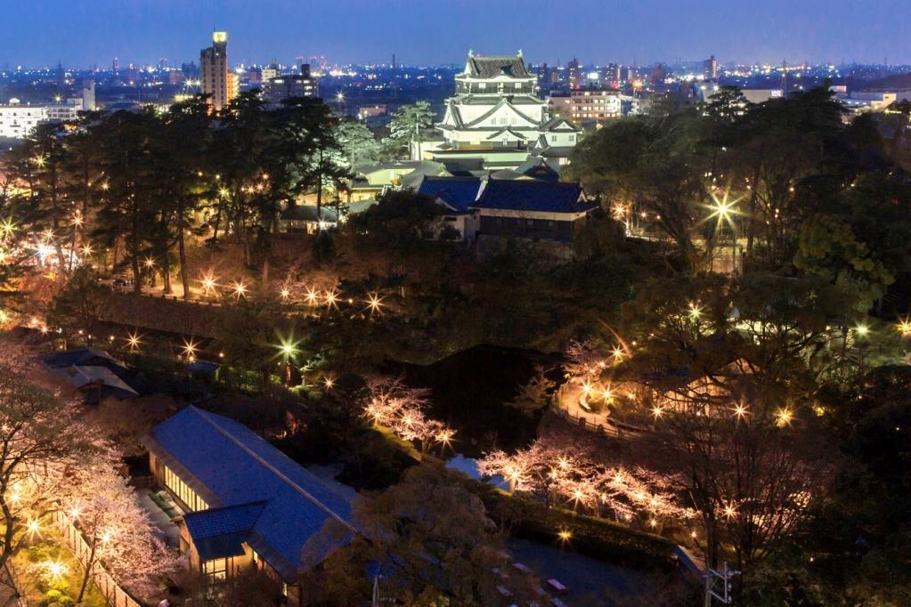 岡崎公園・桜まつり