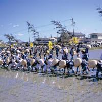 大嘗祭悠紀斎田お田植まつり