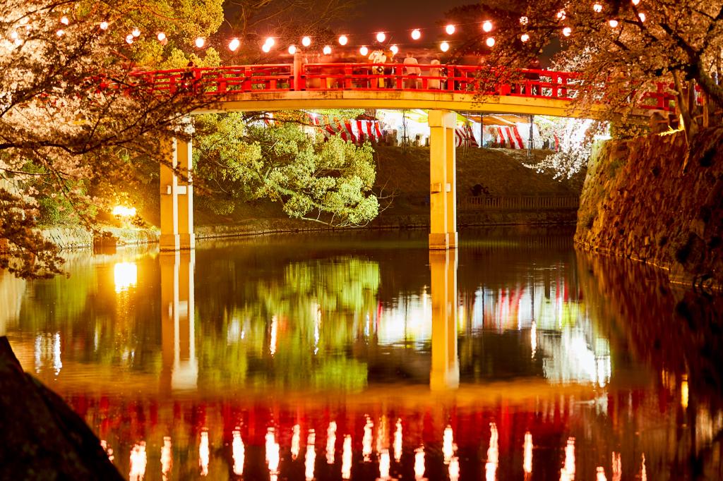岡崎城公園・桜まつり