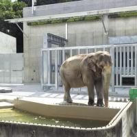 東公園動物園