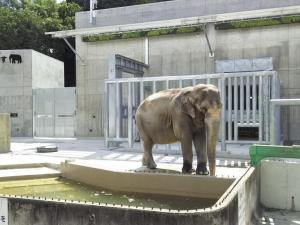 東公園動物園