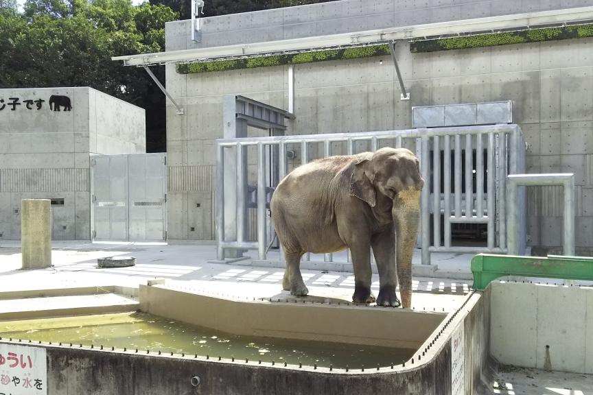 東公園動物園