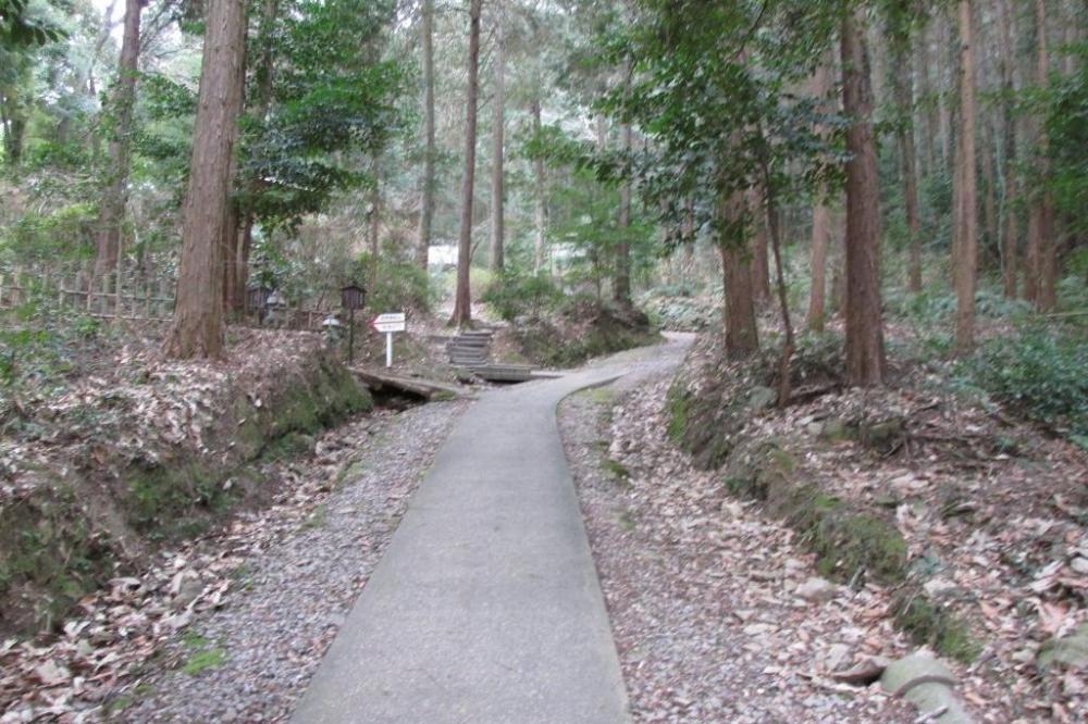 登りはきついです