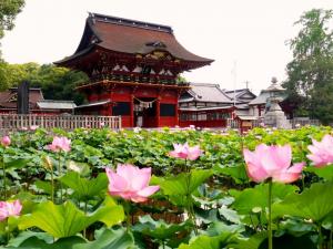 伊賀八幡宮