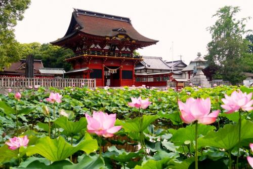 伊賀八幡宮