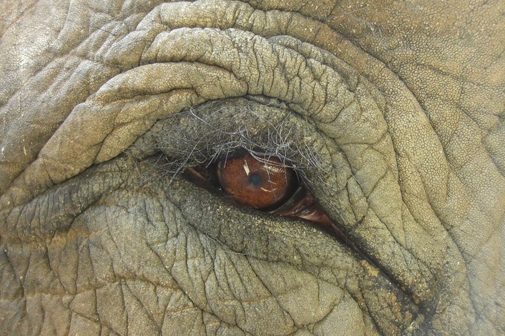 東公園動物園写真展【東公園動物園】