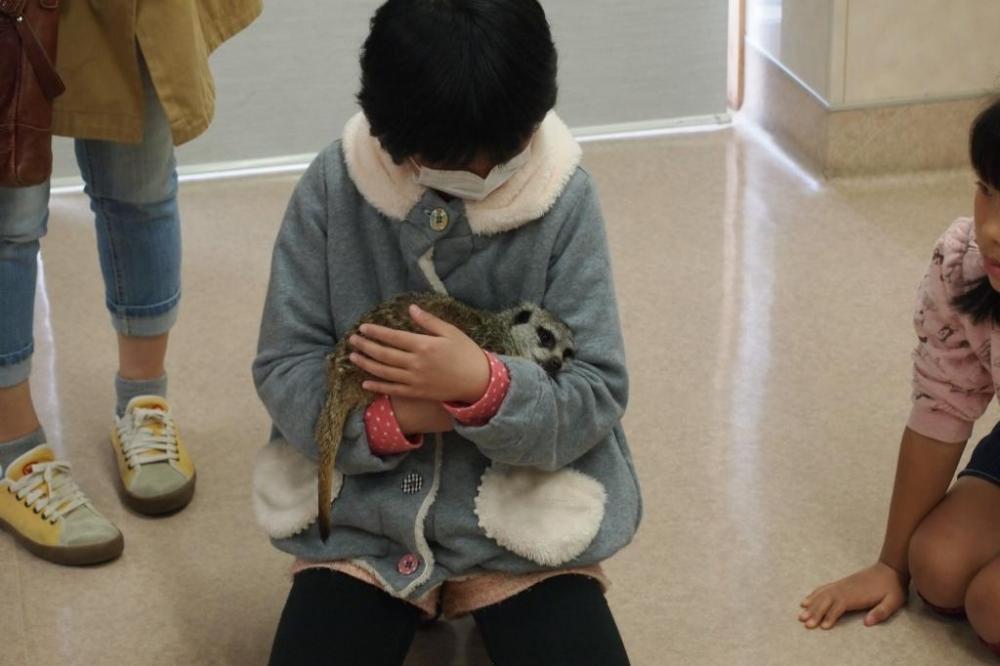 ミーアキャットとのふれあいの様子