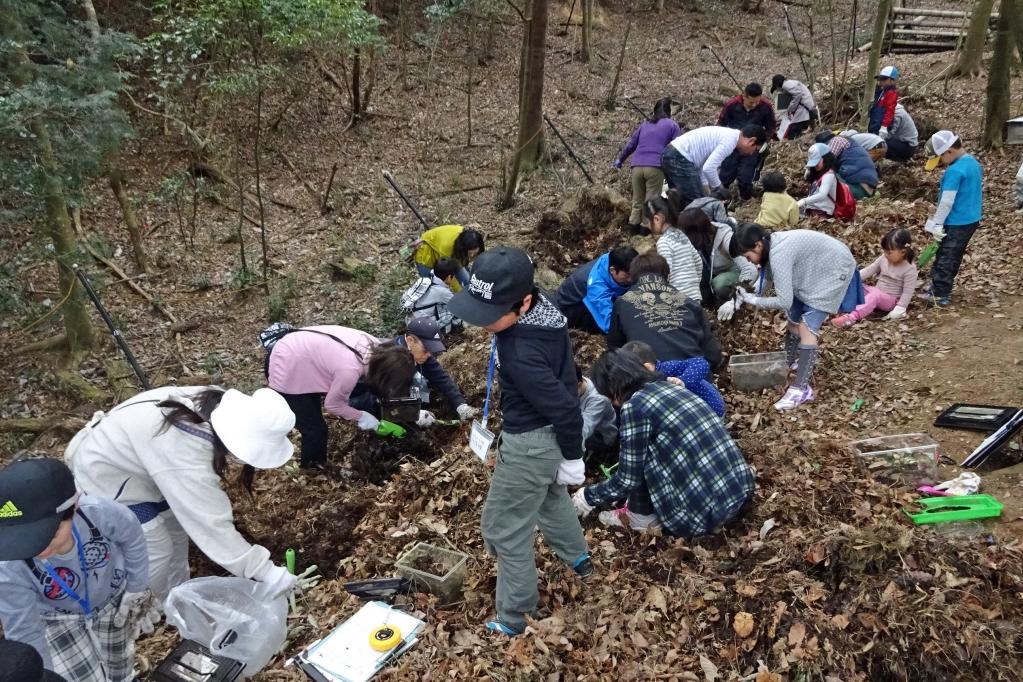 「冒険の森」で幼虫堀り