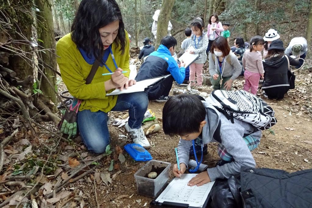 親子でカブトムシの生態を観察