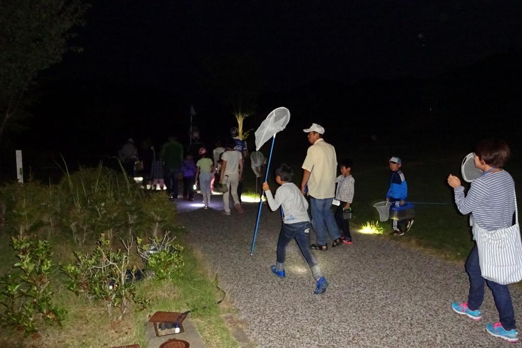 夏の夜！森に入ってカブトムシ探し