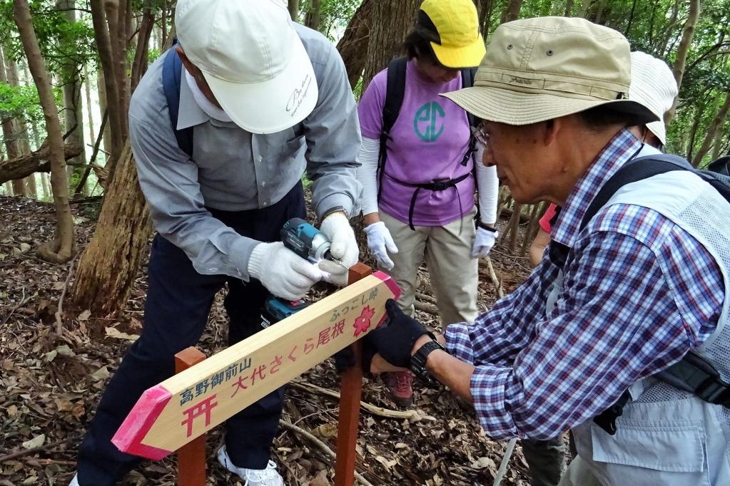 杭が固定できたらいよいよ板面を設置