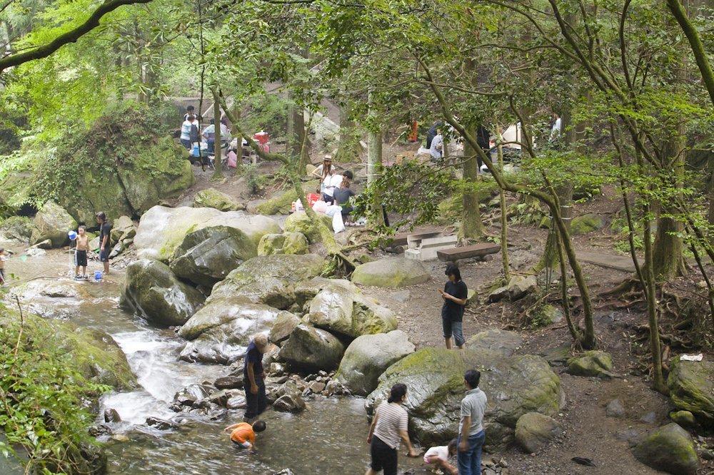 追分デイキャンプ場沿い川