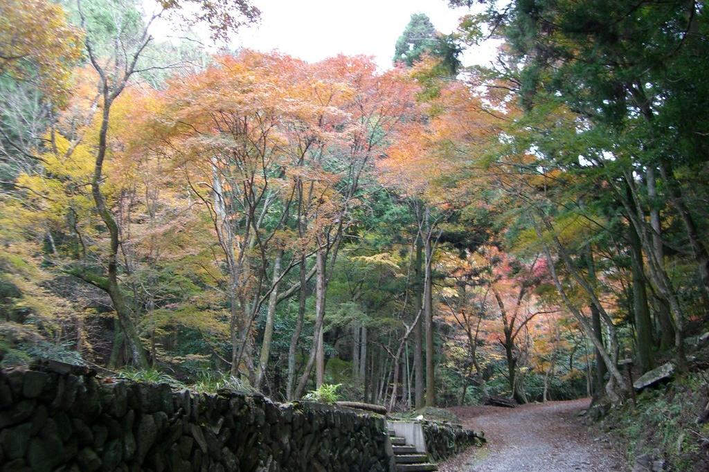 第6景「もみじ橋と岩舞台」