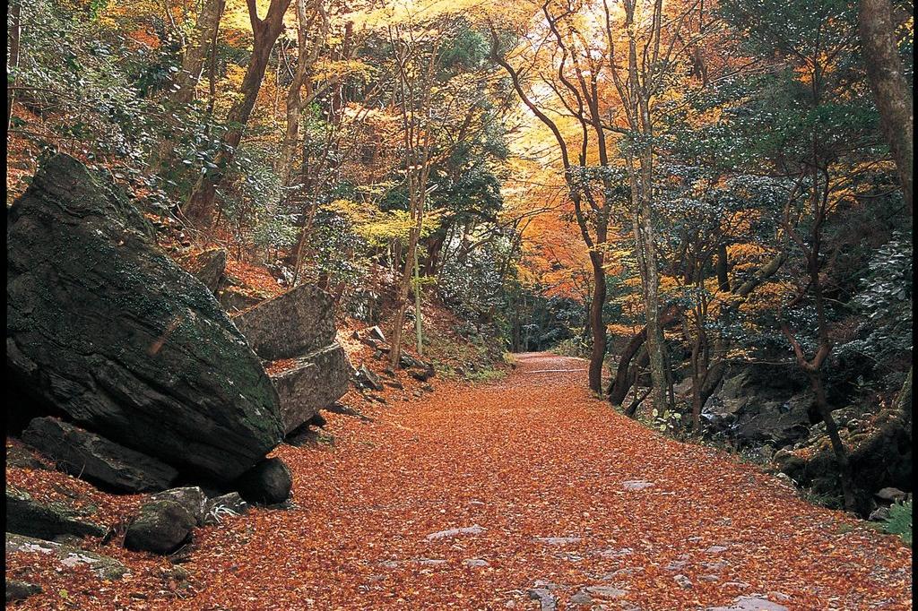 くらがり渓谷 愛知県内 紅葉 Pathee パシー