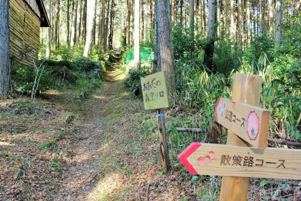 ハウス横には散策道あり