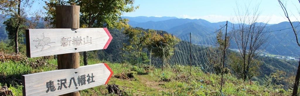 距離も時間もちょうどいい！絶景ハイキング「おおだの森」を歩こう！！