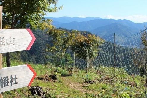 距離も時間もちょうどいい！絶景ハイキング「おおだの森」を歩こう！！