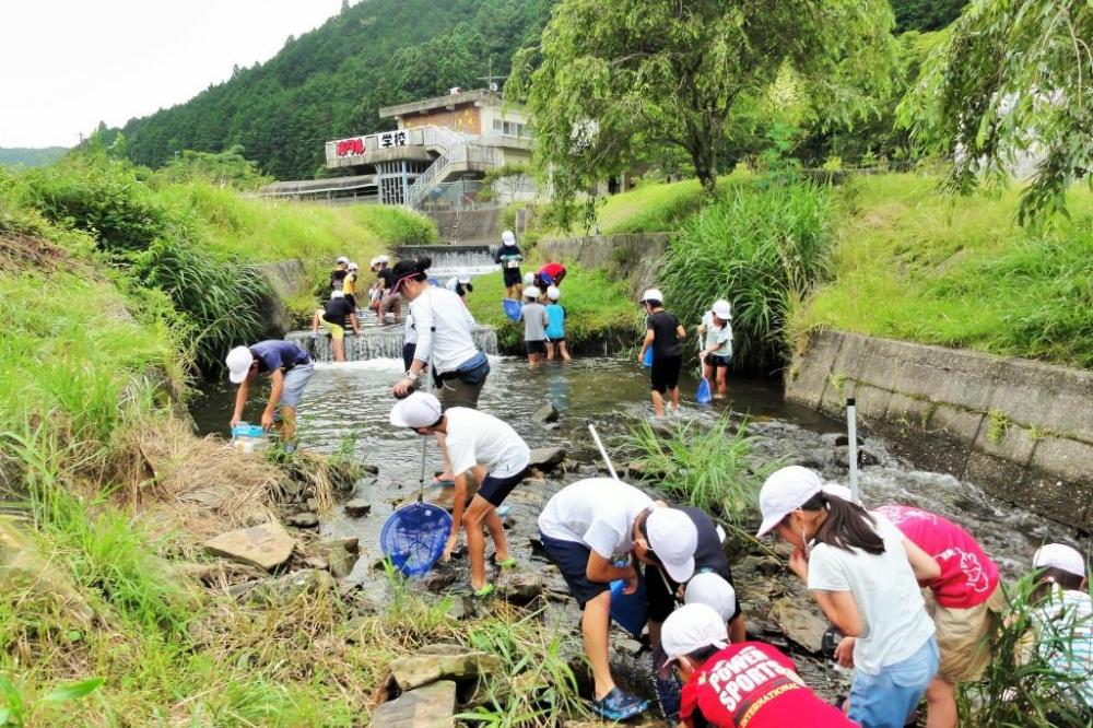 ホタルが生息する川に入って生き物調べ