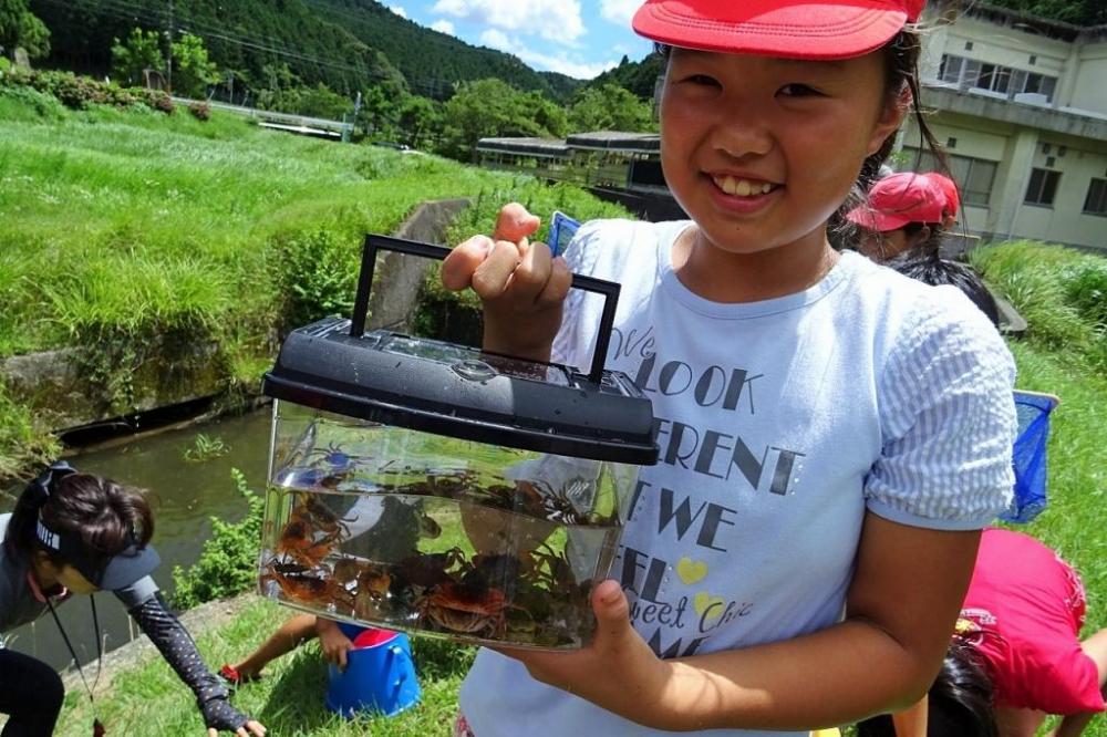 こんなにたくさんの生き物がいたよ☆