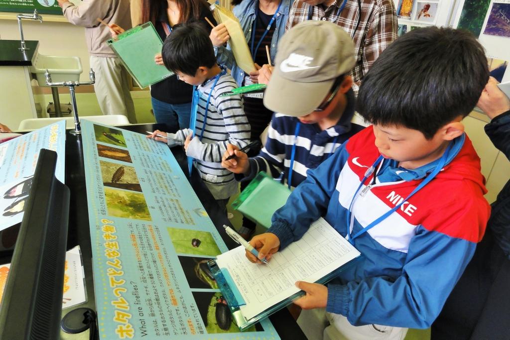 第1回（展示物の中から答えを探しながら、ホタルの基礎知識を学びます）