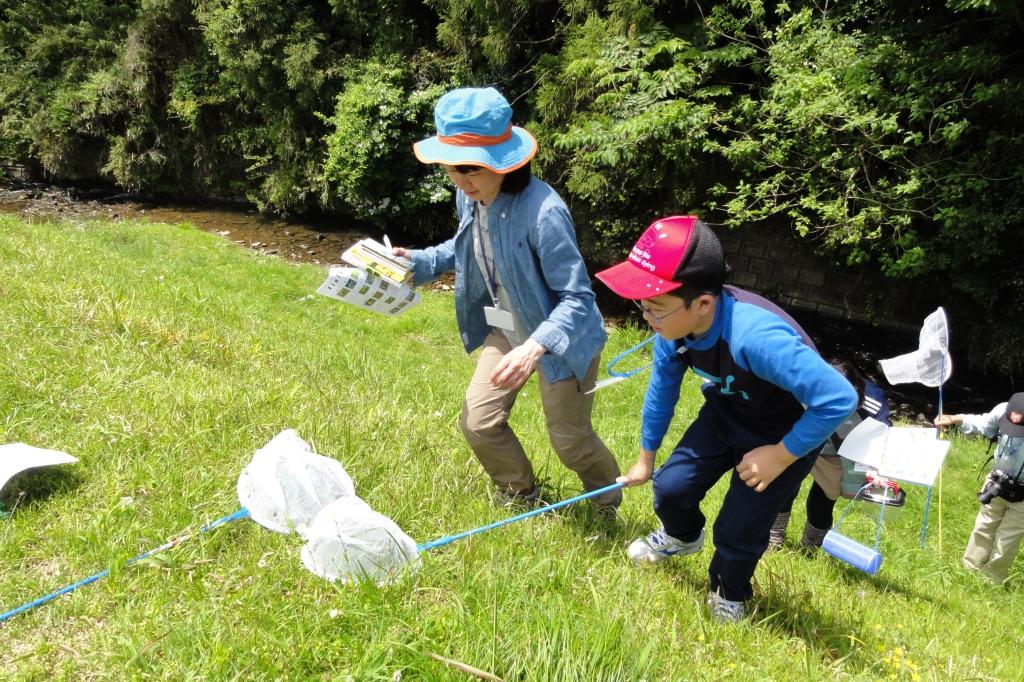 第2回（ホタルを取り巻く自然を知るため、昆虫採集や植物観察を行います）