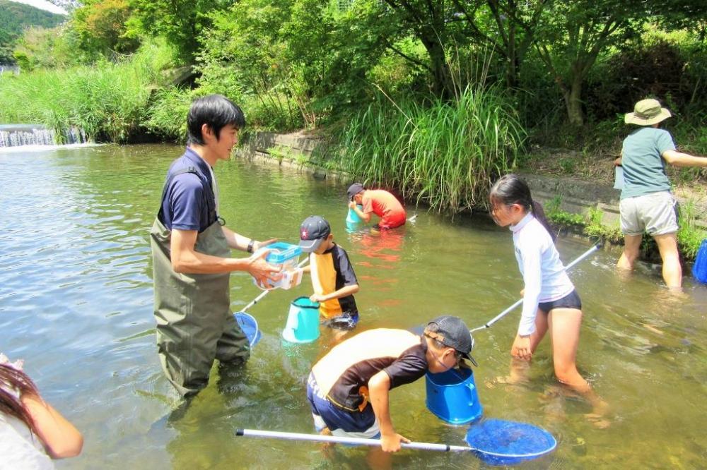 第3回（夏の生き物（植物、川の生き物）調べを行います）