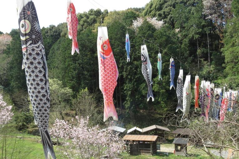 今日は穏やかな天候で風も弱く、あまり泳いではいません