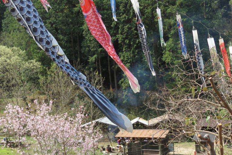 奥に見える炭焼き小屋からの煙見えるかな