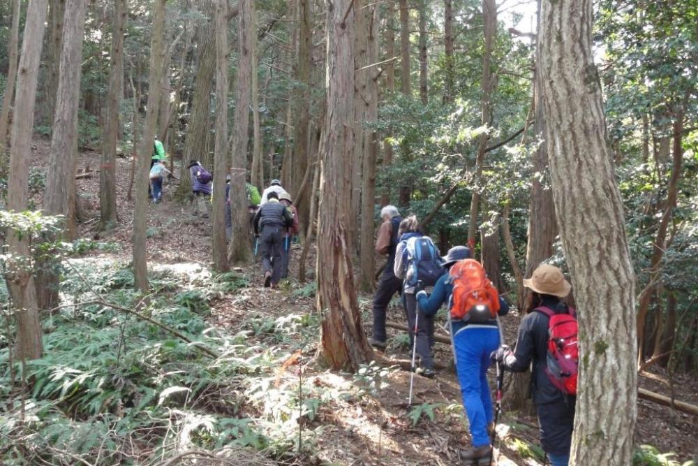 喜桜山目指して登っていきます。