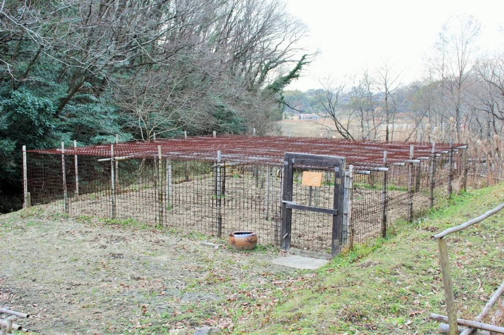 食草園の手前にある畑は獣害対策のため金網で強固な造り