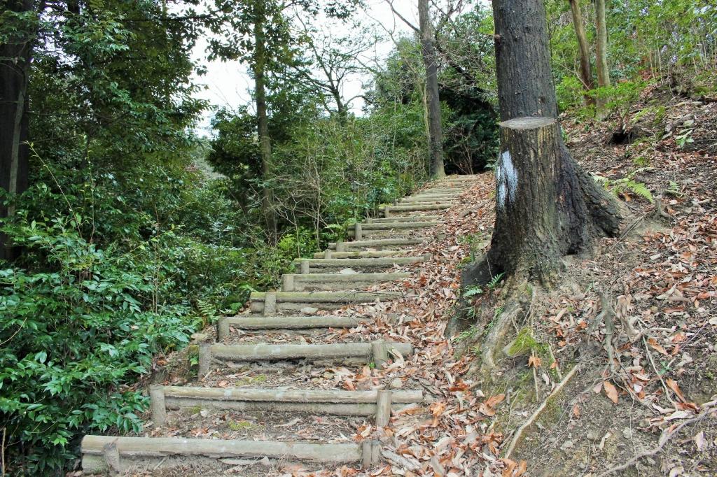 急な道も階段があるから安心