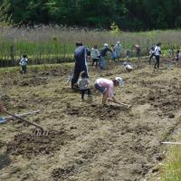 2026年「田起こし・カエルを探そう／泥んこ遊び・ドラム缶風呂／田植え／昔ながらの農業体験」
