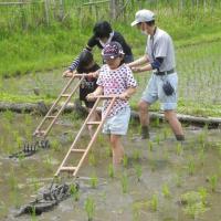 2024年「田の手入れ・ザリガニ釣り」／昔ながらの農業体験　