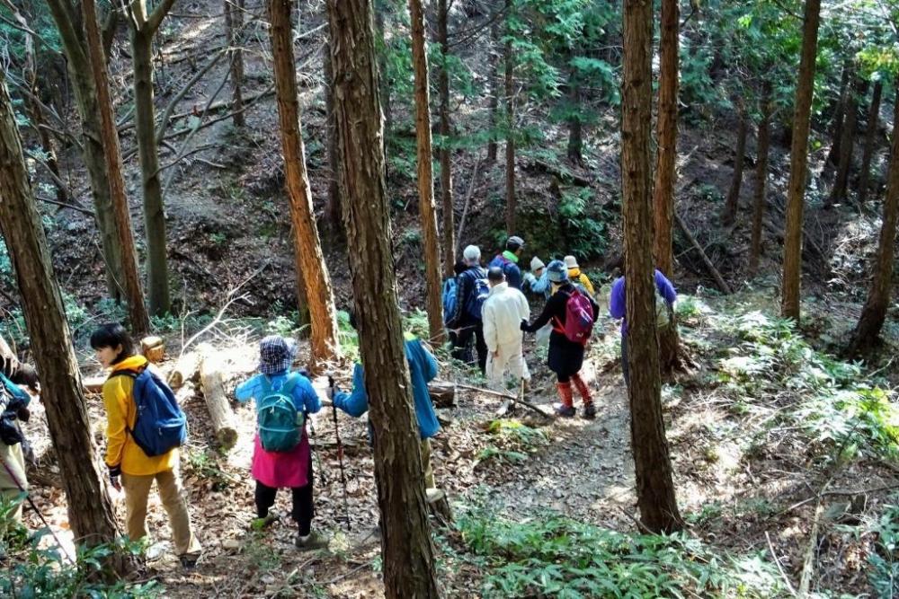 鳥川ホタルの里の山歩きは見どころ満載！ぜひお越しください！