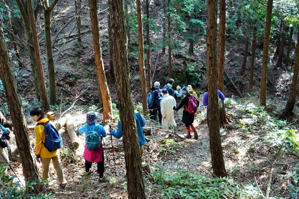 鳥川ホタルの里の山歩きは見どころ満載！ぜひお越しください！