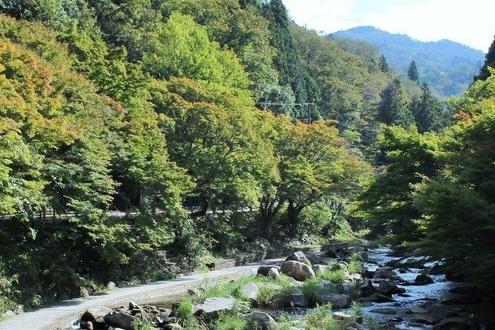 5つの看板を探せ！深い森に包まれた額田をぐるっと一周プラン！