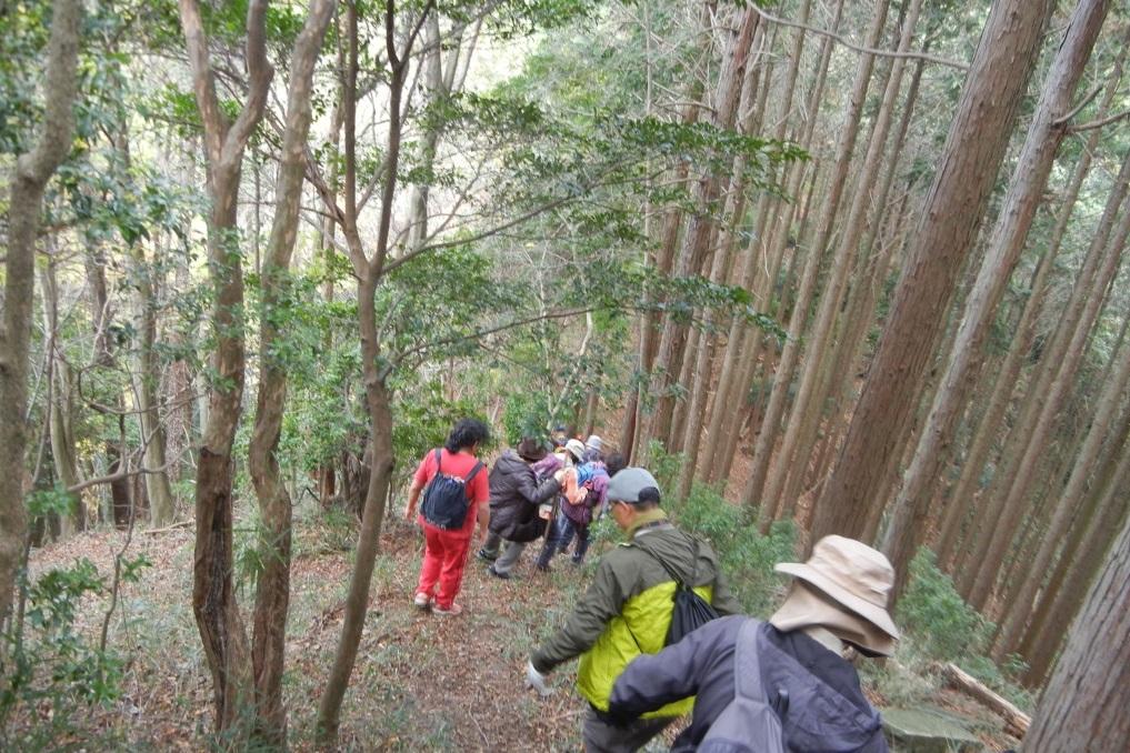 登山道はよく整備されていますので安心です。