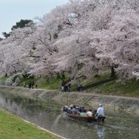 岡崎城下舟あそび