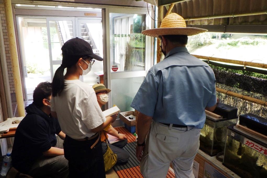 ホタルの幼虫飼育水槽