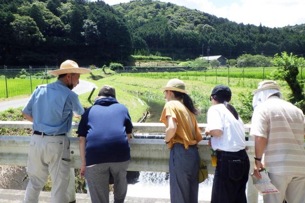 ホタル生息場所の観察