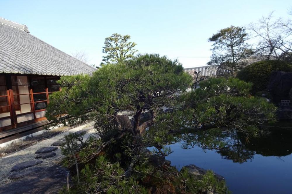 日本庭園のある素敵な庭を眺められる、書院で開催中！