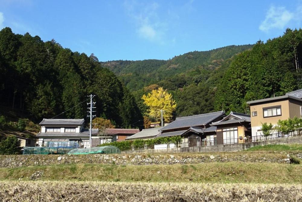 県道377号線からもよく見えます